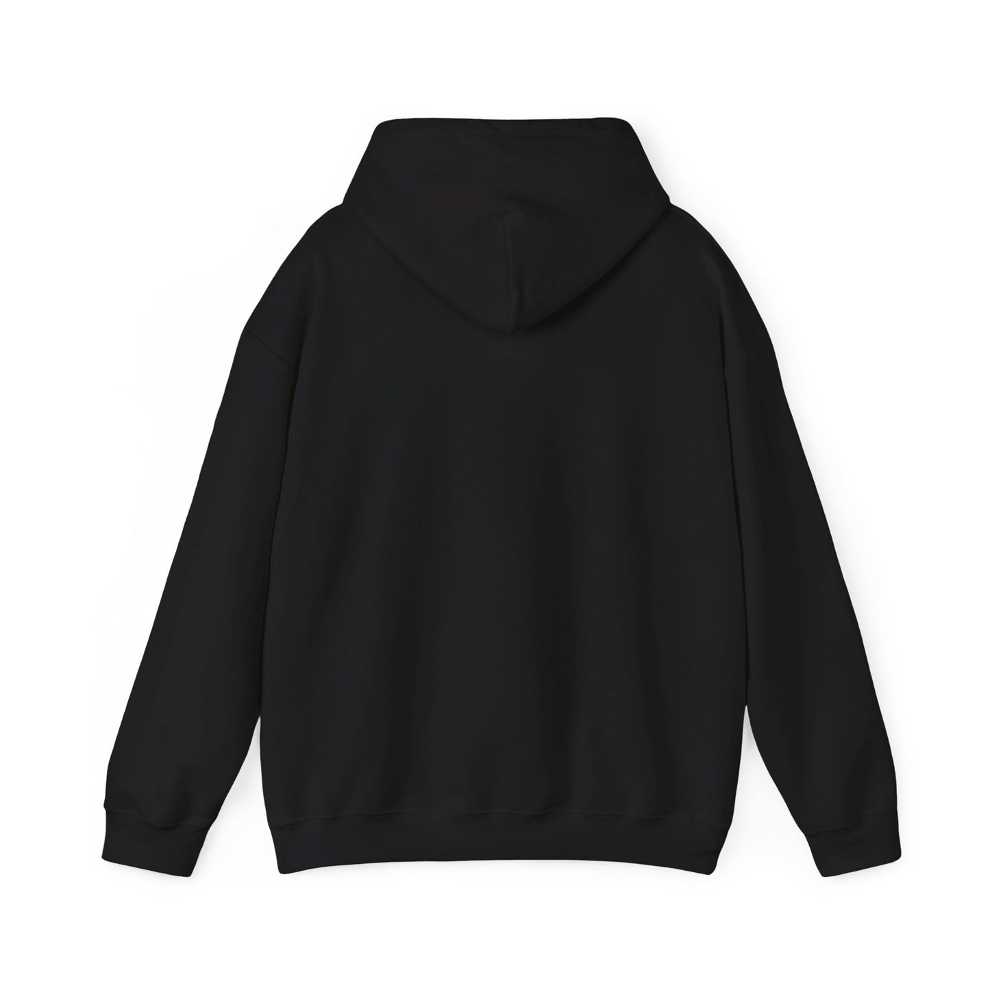 Area 406 Festival Hoodie (Black)