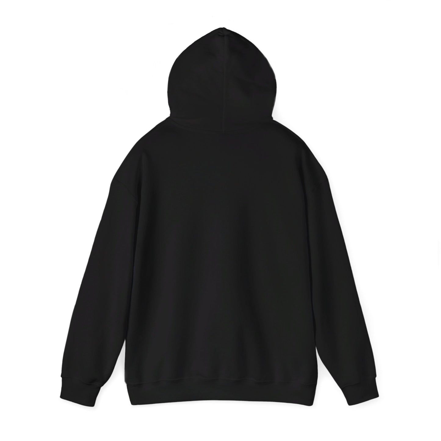 Area 406 Festival Hoodie (Black)